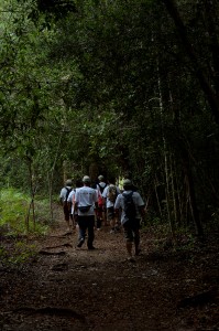 Trans Borneo Expedition 2014     